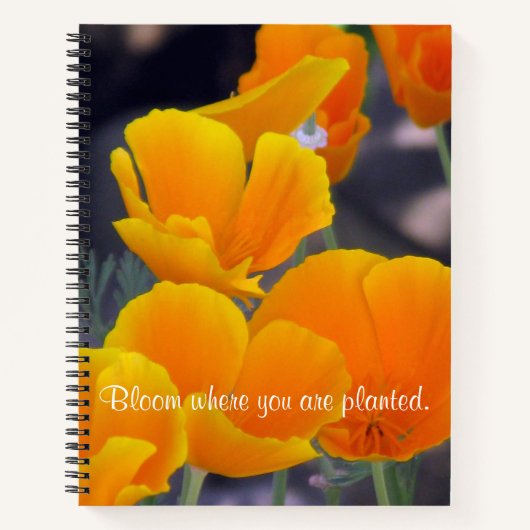 カリフォルニアポピーかわいらしズと引用文スケッチ ノートブック (正面)