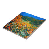 カリフォルニアポピーとポップコーンの野花 タイル (側面)