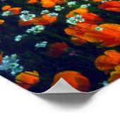 カリフォルニアポピーとポップコーンの野花 ポスター (角)