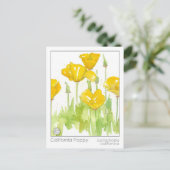 カリフォルニアポピーマテリアメディカハーブ勉強カード ポストカード (スタンド正面)