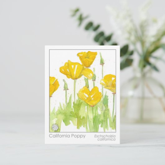 カリフォルニアポピーマテリアメディカハーブ勉強カード ポストカード (スタンド正面)