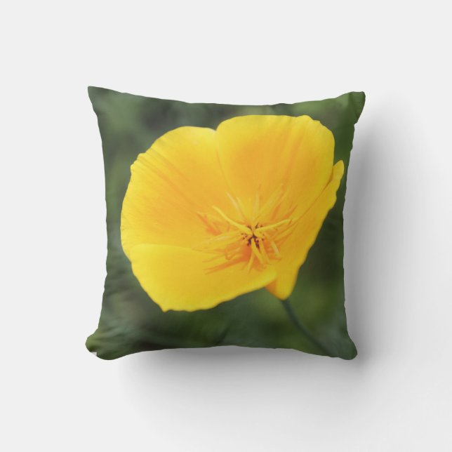 カリフォルニアポピー屋外装飾用クッション クッション (正面)