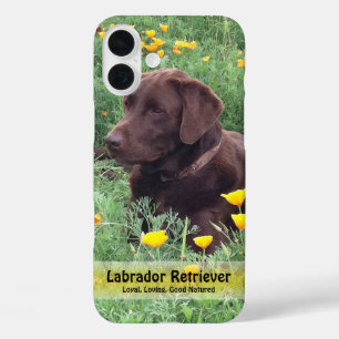 カリフォルニアポピー畑のチョコレートラブ iPhone 16 PLUSケース