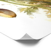 カリフォルニアポピー花アートプリントポスター ポスター (角)