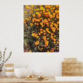 カリフォルニアポピー野草地 ポスター (キッチン)