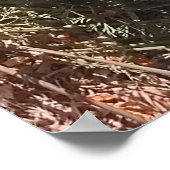 カリフォルニアポピー野草地 ポスター (角)