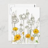 カリフォルニアポピー野草植物のスケッチ ポストカード (正面/裏面)