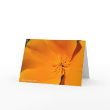 カリフォルニアポピー