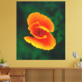 カリフォルニアポピー キャンバスプリント (インサイチュ (リビング))