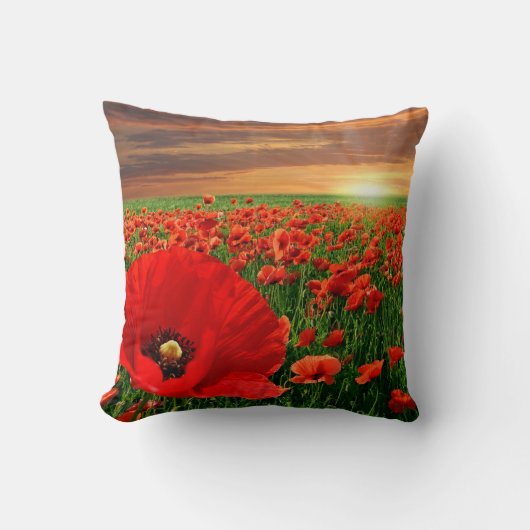 カリフォルニアポピー クッション (正面)