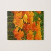 カリフォルニアポピー ジグソーパズル (横)