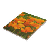 カリフォルニアポピー タイル (側面)