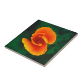 カリフォルニアポピー タイル (側面)