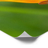 カリフォルニアポピー ポスター (角)