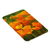 カリフォルニアポピー マグネット (右側)