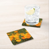 カリフォルニアポピー、モンタナデオロ州パーク スクエアペーパーコースター (インサイチュ)