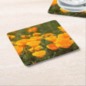 カリフォルニアポピー、モンタナデオロ州パーク スクエアペーパーコースター (アングル)