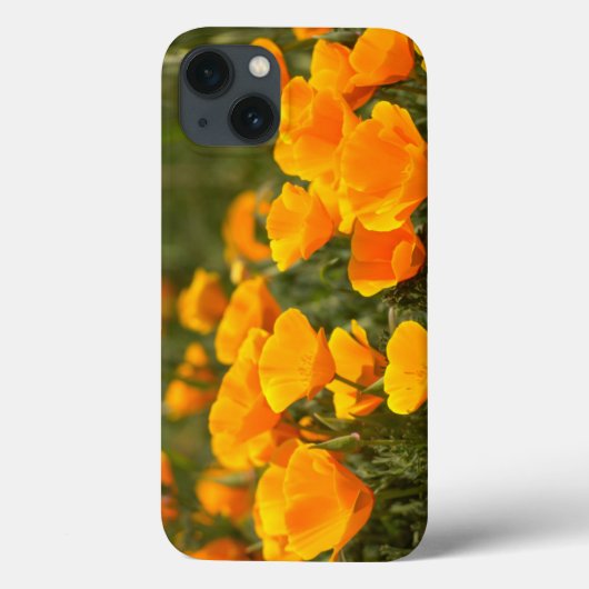 カリフォルニアポピー、モンタナ・デ・オロ州立公園 Case-Mate iPhoneケース (裏面)