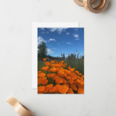 カリフォルニアポピー&ラベンダー ノートカード (正面/裏面インサイチュ)