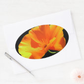 カリフォルニアポピー 楕円形シール (封筒)