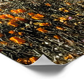 カリフォルニアポピー – 風景2 ポスター (角)