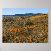 カリフォルニアポピー – 風景2 ポスター (正面)