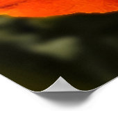 カリフォルニアポピー – California Poppy 1 ポスター (角)