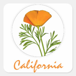 カリフォルニアポピーin a Circle, "California"文字 スクエアシール