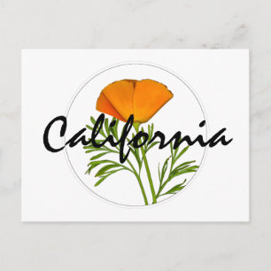 カリフォルニアポピーin a Circle, "California"文字 ポストカード