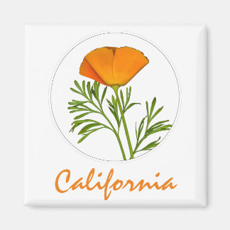カリフォルニアポピーin a Circle, "California"文字 マグネット