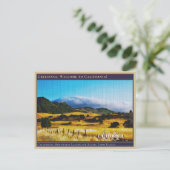 カリフォルニアマウンテンズランドスケープシーニックファームランチ  ポストカード (スタンド正面)