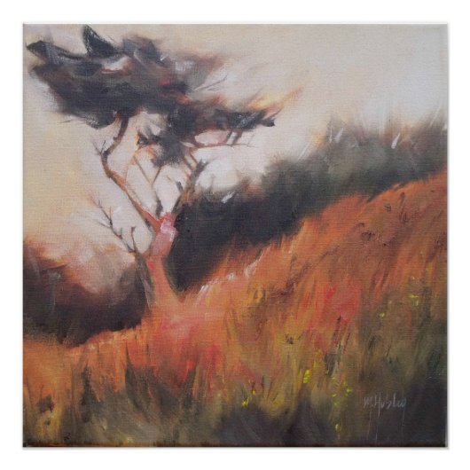 カリフォルニアモントレーサイプレスローンツリー ポスター (正面)