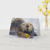 カリフォルニアラッコ カード (黄色い花)