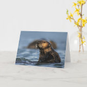 カリフォルニアラッコ カード (黄色い花)