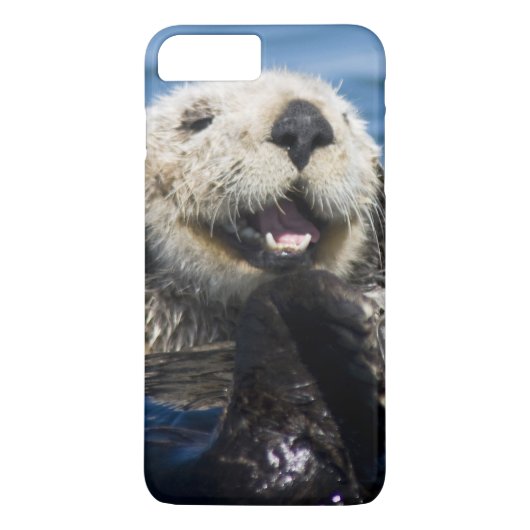 カリフォルニアラッコ (Enhydra lutris) 毛づくろみ Case-Mate iPhoneケース (裏面)