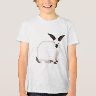 カリフォルニアラビットTシャツ トライブレンドTシャツ