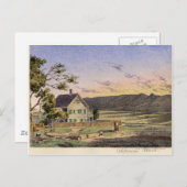 カリフォルニアランチ ポストカード (正面/裏面)