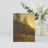 カリフォルニアレッドウッズ | アルバートビエルシュタット ポストカード (スタンド正面)