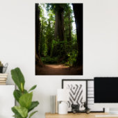 カリフォルニアレッドウッズ ポスター (ホームオフィス)