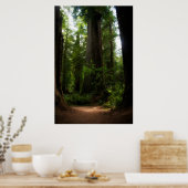 カリフォルニアレッドウッズ ポスター (キッチン)