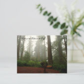 カリフォルニアレッドウッズ ポストカード (スタンド正面)