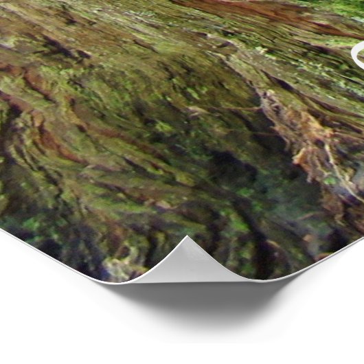 カリフォルニアレッドウッドツリーズアートプリントビッグレッドウッド ポスター (角)