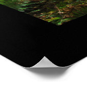 カリフォルニアレッドウッドツリーズフォレストアートプリント ポスター (角)