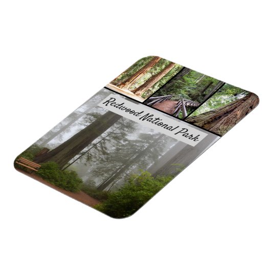 カリフォルニアレッドウッド国立公園セコイアの木 マグネット (左側)
