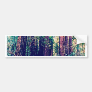カリフォルニアレッドウッド バンパーステッカー
