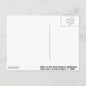 カリフォルニアレッドシール ポストカード (裏面)