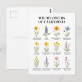 カリフォルニアワイルドフラワーズ – ボタニカルウォーターカラーイリュウ ポストカード (正面/裏面)