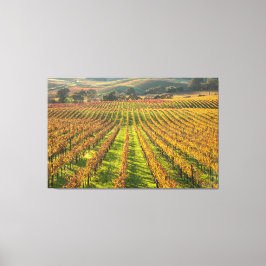 カリフォルニアワインカントリー キャンバスプリント