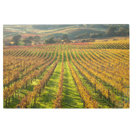 カリフォルニアワインカントリー メタルプリント