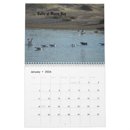 カリフォルニア中央海岸のカレンダー2013年 カレンダー (1月 2026)